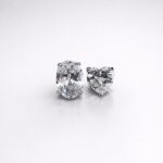 photo_2026-03-12-12.40.19