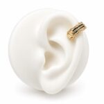 photo_2026-04-29-13.43.51